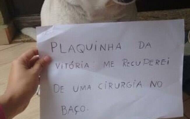Se recuperou de uma cirurgia.