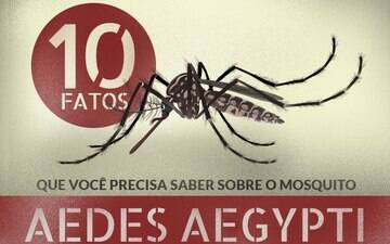 Panorama da dengue, chikungunya e zika vírus no Brasil, seus sintomas e as formas de prevenção