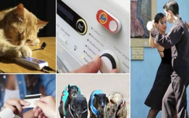 Grau de estranheza de algumas histórias reais as fazem parecer totalmente inverossímeis