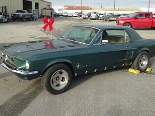 Mustang 1967 de Lynda Alsip