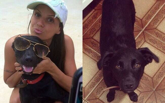 A Panicat Carol Dias recorreu às redes sociais para encontrar cachorro desaparecido