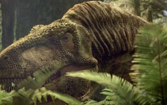 Dinossauro descoberto por cientistas tem características parecidas às do tiranossauro rex