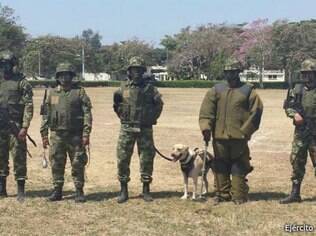 A equipe do sargento Beltrán pode levar um dia inteiro para desativar uma mina