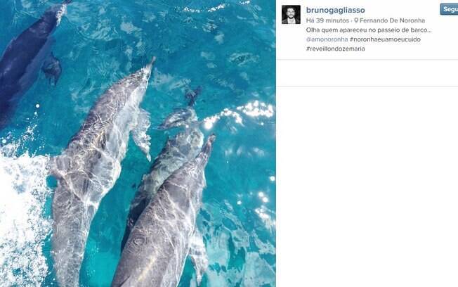 Bruno Gagliasso fotografa golfinhos durante passeio em Fernando de Noronha