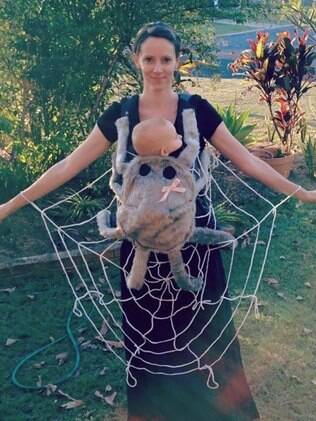 Aranha e Teia