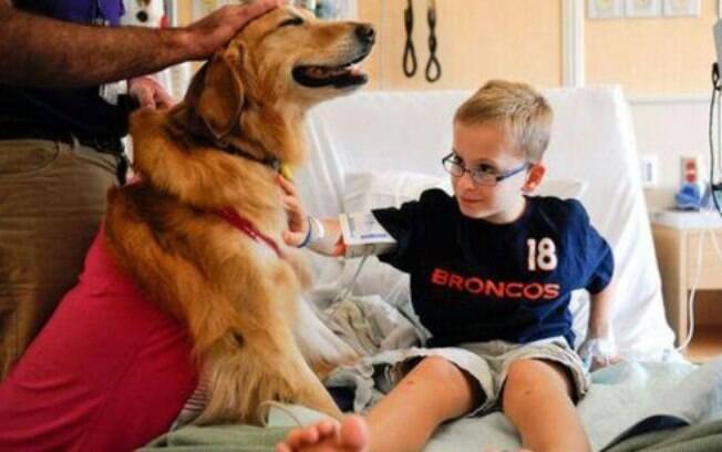 As visitas de cães terapeutas em hospitais, por exemplo, surtem grandes efeitos