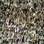 Torcida do Palmeiras fez muita festa após a classificação do Palmeiras para a final da Copa do Brasil. Foto: Gazeta Press