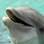 Há também o investidor Flipper, conhecido por comprar e vender ações em IPO em prazo curto. Foto: Getty Images