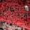 A torcida do Atlético-PR lotou a Arena da Baixada neste domingo