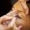 Com um lápis de olho marrom, faça um traço junto à linha dos cílios, de fora para dentro, e esfume com um pincel na sequência. Foto: Amana Salles / Fotoarena