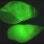 Aqui, é possível observá-lo emitindo a luz verde bioluminescente. Foto: Scripps Institution of Oceanography