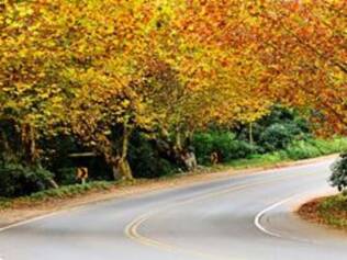 Via-Serrana, no caminho que leva até a cidade de Nova Petrópolis