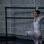 <span>A atriz ralou muito e emagreceu 10kg para interpretar uma bailarina em ´´Cisne Negro`</span> - <strong>Foto: Divulgação</strong>