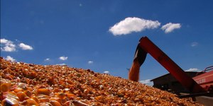 E-agro dobra crédito rural e chega a R$ 5,6 bilhões