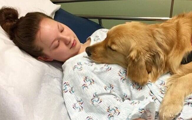 A terapia assistida por animais é um método fundamental para o tratamento de pacientes em hospitais