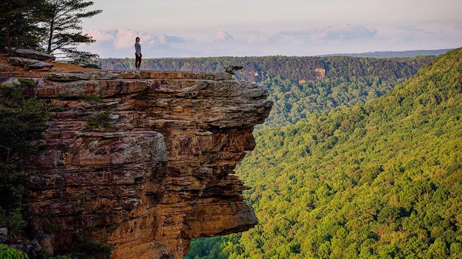 O Savage Gulf State Park tem área de 76,89 km² e abriga diversas espécies de serpentes