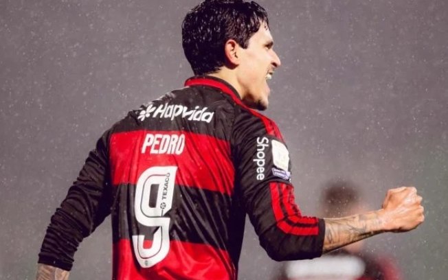 Pedro é o artilheiro do Flamengo na atual temporada, com 24 gols