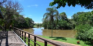 Áreas verdes que nem todo mundo conhece em Campinas