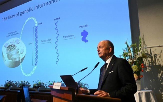 O membro da Assembleia Nobel, Olle Kaempe, aparece diante da imprensa enquanto uma tela projeta imagens da pesquisa dos vencedores do Prêmio de Medicina Victor Ambros e Gary Ruvkum em 7 de outubro de 2024 em Estocolmo