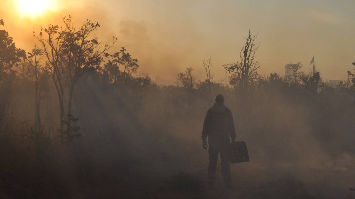 Incêndio no cerrado de Brasília