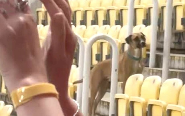 Herrera, da Macedônia do Norte, tenta retirar o cachorro do campo