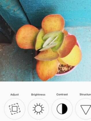 Como usar o Insta?
