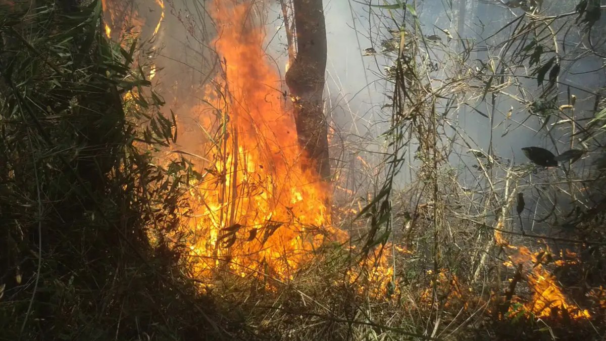 Clima seco, relevo e fortes ventos facilitaram disseminação do fogo