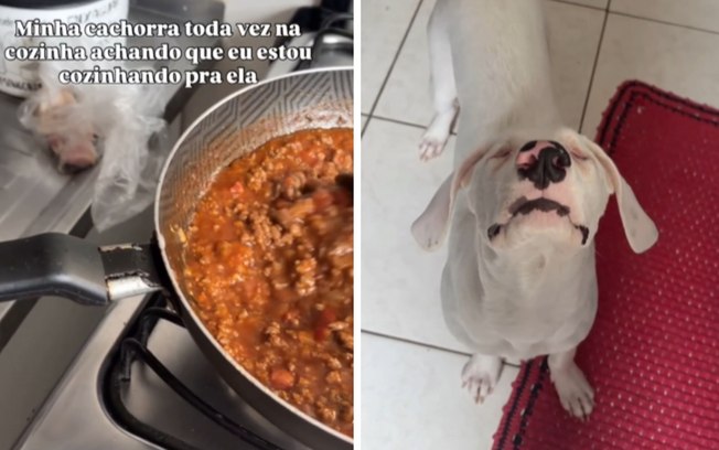 02dnovajd7m1sxwzxte6cxq3v