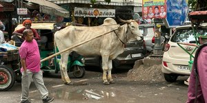 De Tóquio a Nova Delhi: o mergulho no caos fascinante da Índia