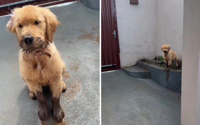 02y1huj18jc517orksssts0vd