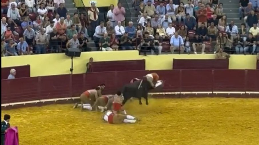 Tourada chamou a atenção de internautas