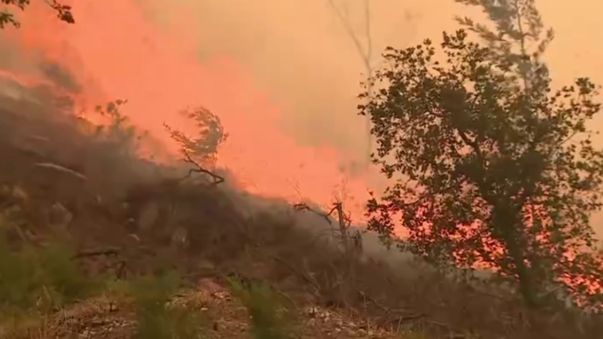 Onda de calor causa incêndio florestal em Espanha e Portugal