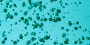 SP: bactéria resistente a antibióticos avança fora de hospitais