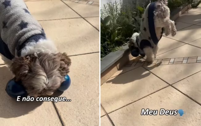 04ah93tmm5eoomui2h1t6zu26