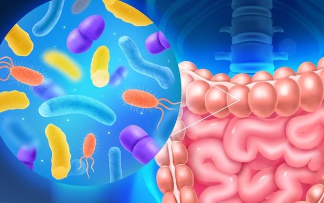 Obeliscos | Novos microrganismos são descobertos na flora intestinal