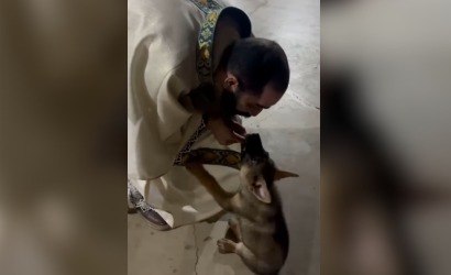 Filhote brinca com roupa de padre e reação diverte: "Não pode mais batizar"