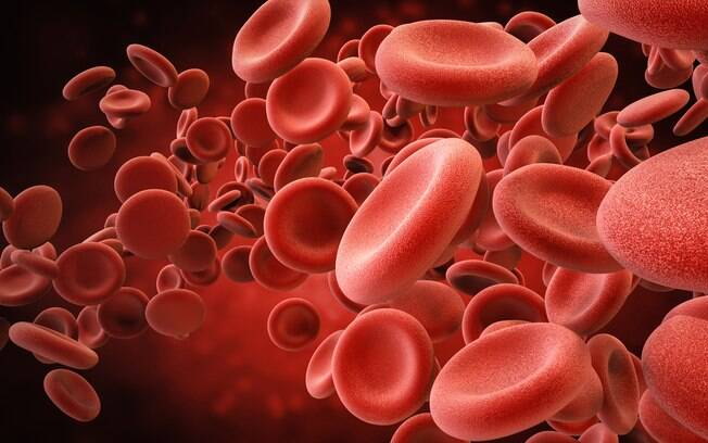 A hemofilia afeta cerca de 400 mil pessoas em todo o mundo, sendo que apenas 25% delas têm acesso ao tratamento 
