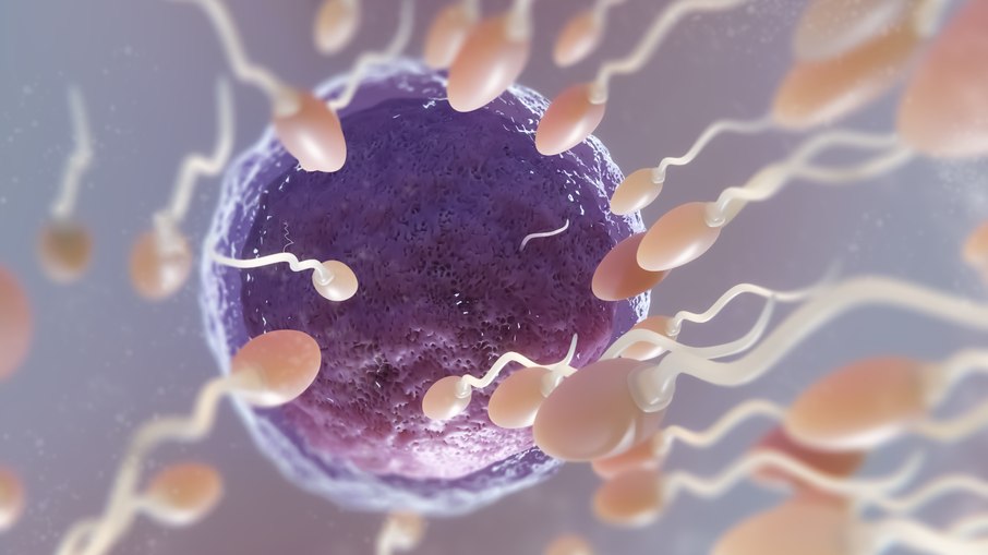 Inseminação caseira é a inseminação feita pelos próprios pais, sem ajuda médica