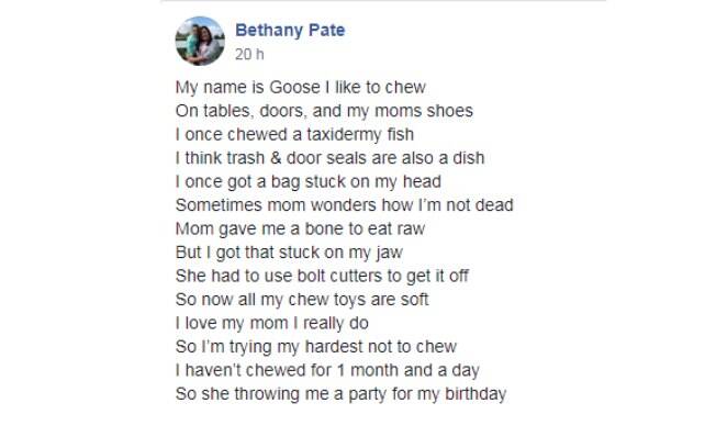 Poema para Goose