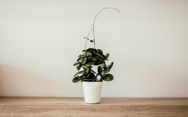 Menos mais: Estilo de vida minimalista Menos mais: Estilo de vida minimalista