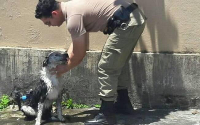 Policial deu banho de mangueira em cachorro para reanimá-lo