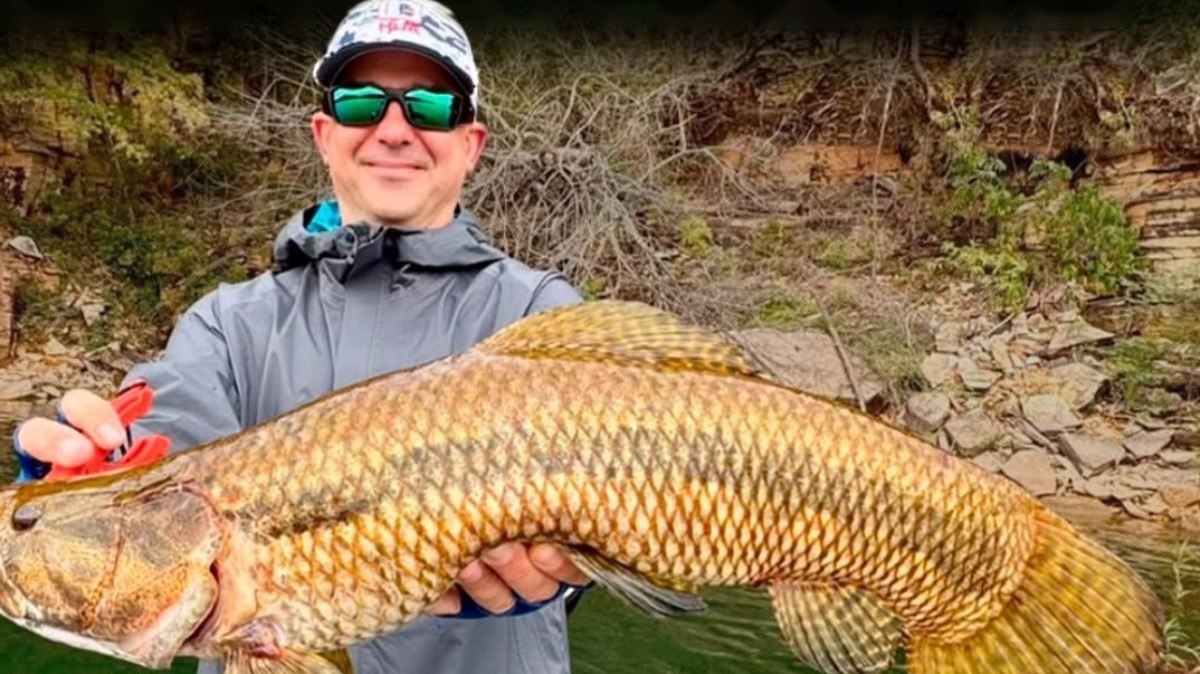 Fisgada%20hist%C3%B3rica%3A%20pescador%20pega%20trair%C3%A3o%20de%2059%20cm%20