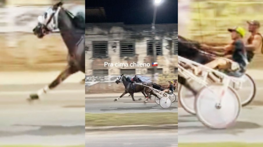 Polícia investiga vídeos virais de corrida de cavalos no Rio de Janeiro