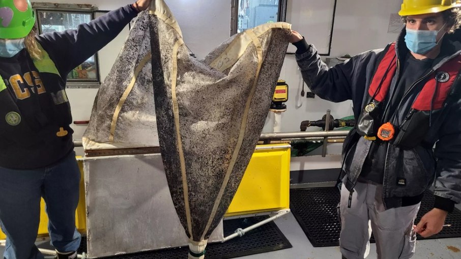Os pesquisadores planejam analisar tecidos de peixes em busca de sinais de metais pesados e outros poluentes. Os pesquisadores planejam analisar tecidos de peixes em busca de sinais de metais pesados e outros poluentes.