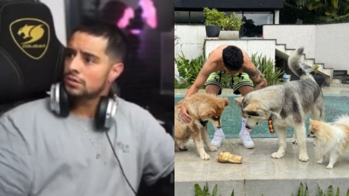 Vídeo: influenciador é informado ao vivo sobre a morte do cachorro