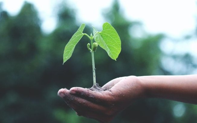 7 teorias populares para a origem da vida na Terra