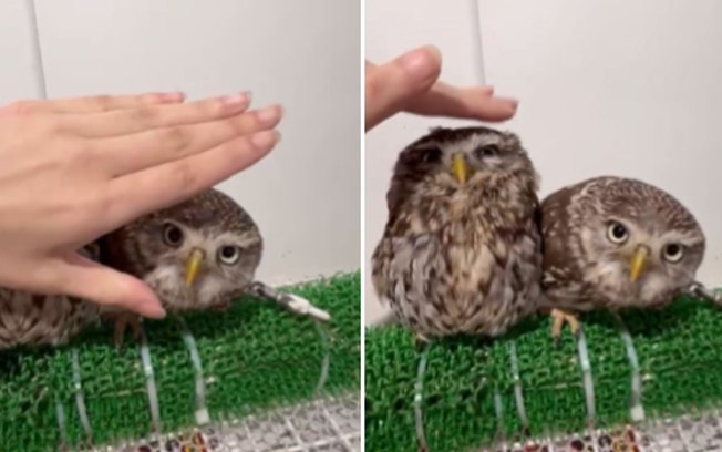 08kish4gzcf8z3sa4sm9dmbjm