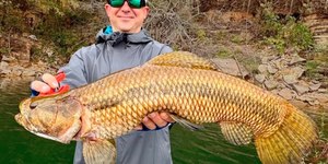 Fisgada histórica: pescador pega trairão de 59 cm e cria recorde