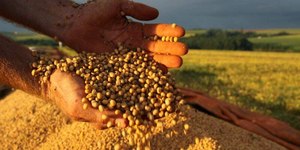 PIB do Brasil cresce 1,4% no 1º trimestre de 2025, diz IBGE