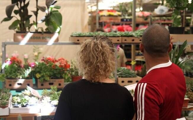 Dia das Mães: mercado de flores do Ceasa espera aumento de 30% em vendas